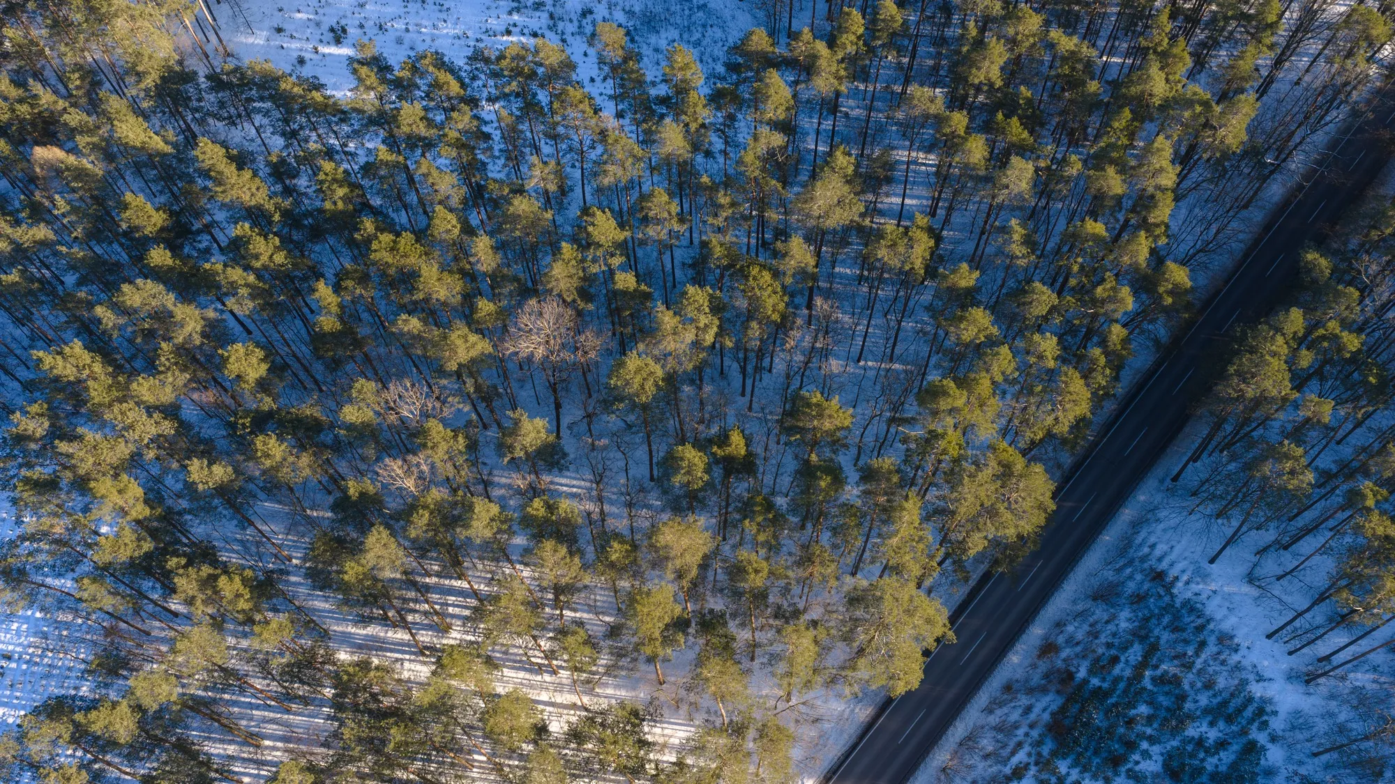 Aerial photograph — Poland — Earthly