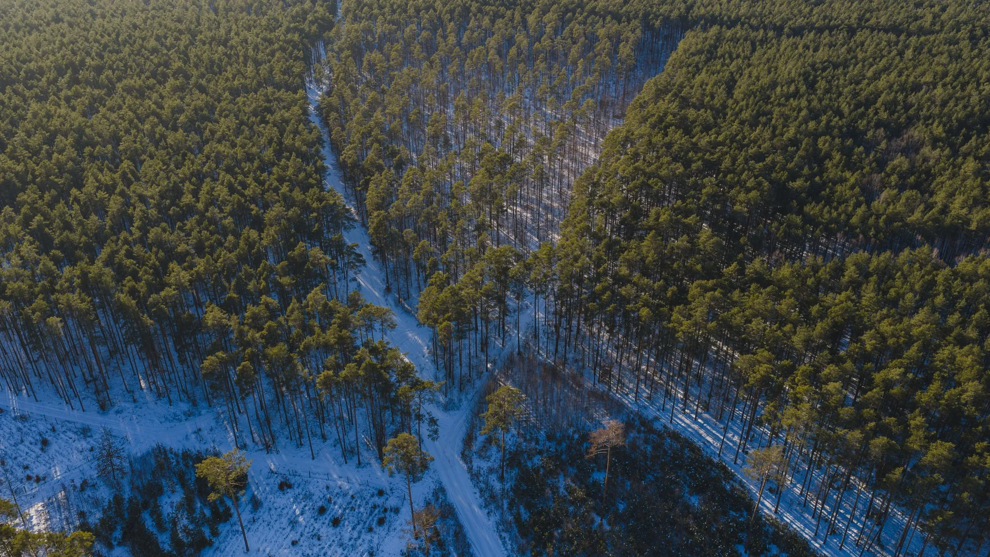 Aerial photograph — Poland — Earthly