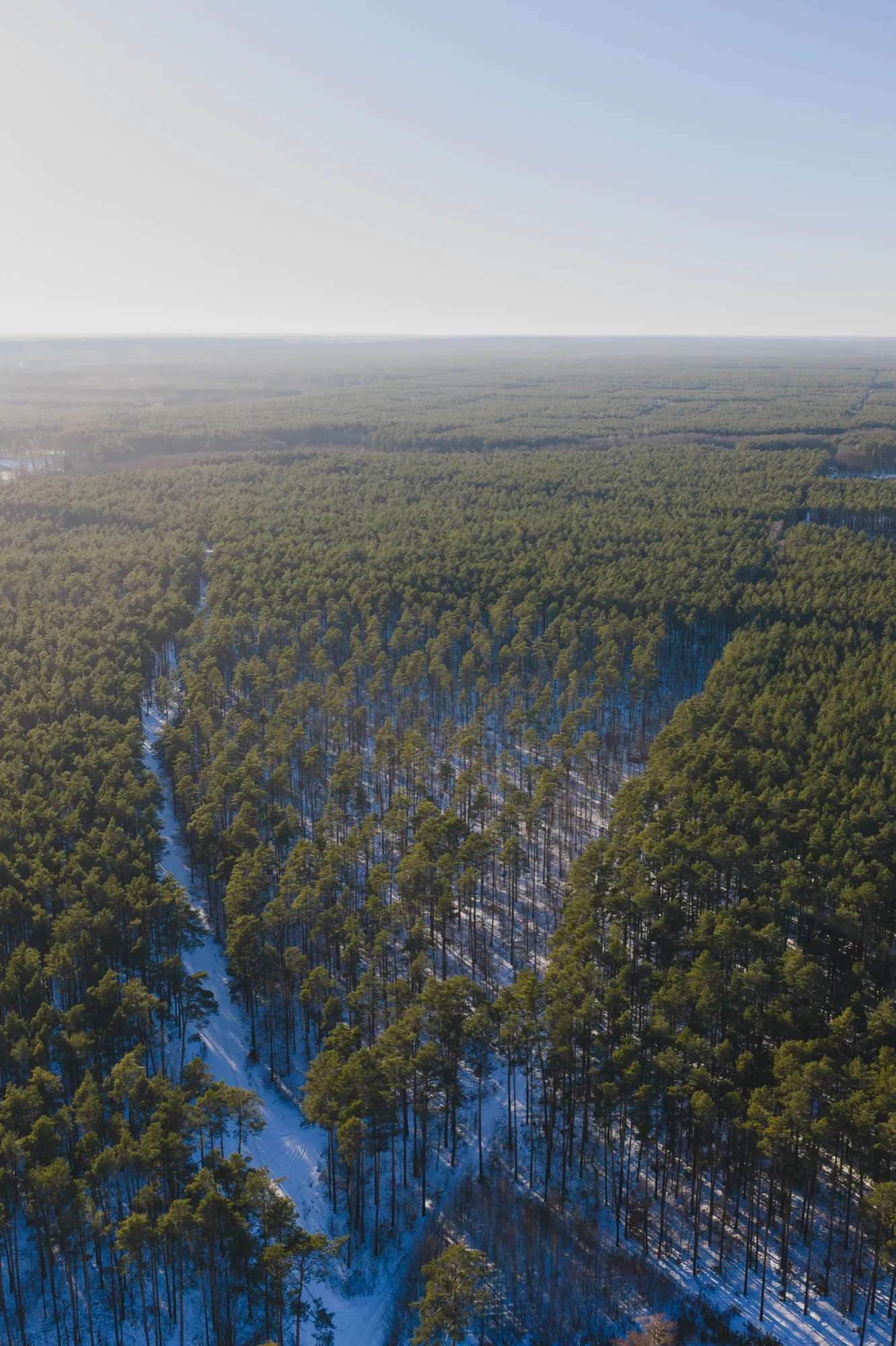 Aerial photograph — Poland — Earthly