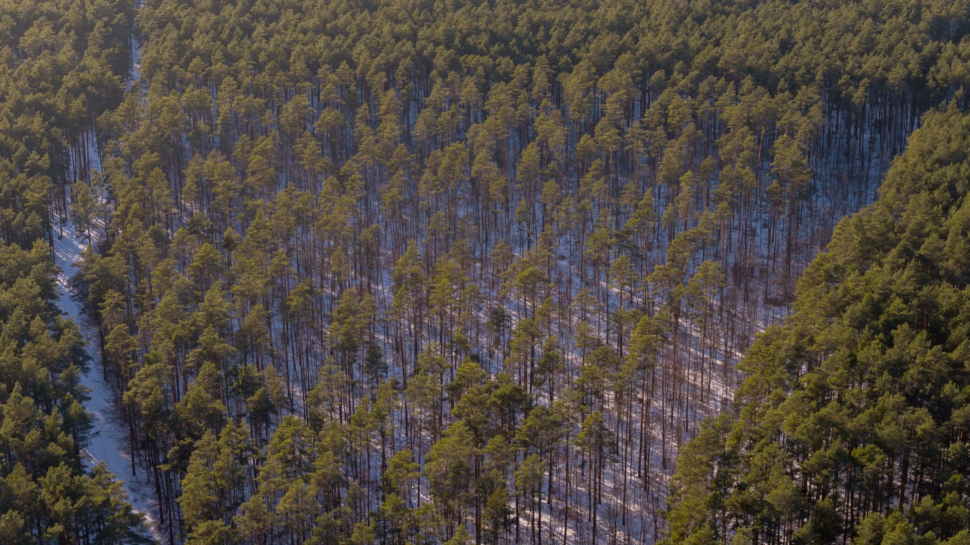 Aerial photograph — Poland — Earthly