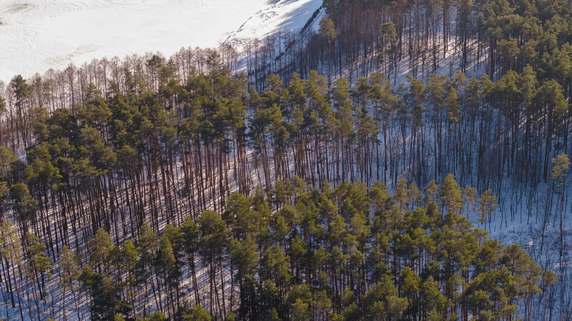 Aerial photograph — Poland — Earthly