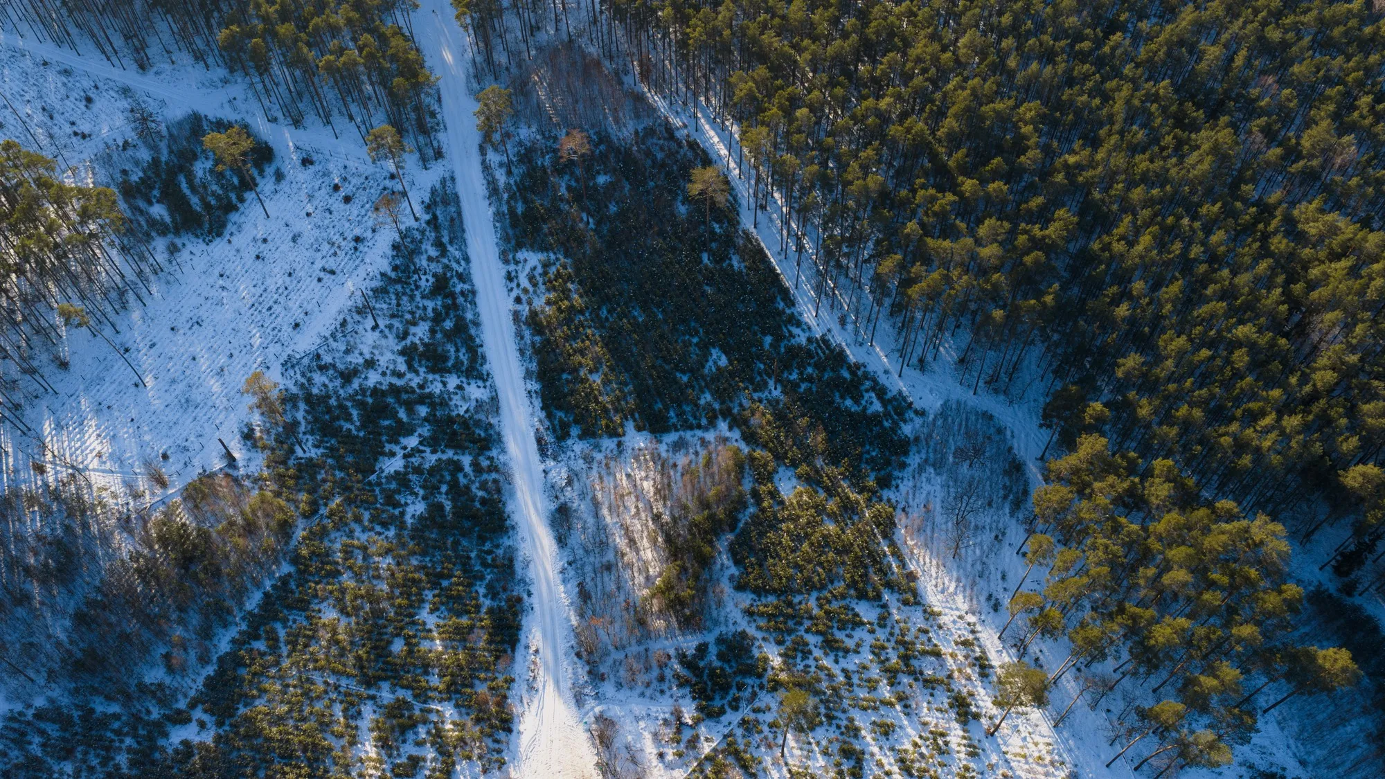 Aerial photograph — Poland — Earthly