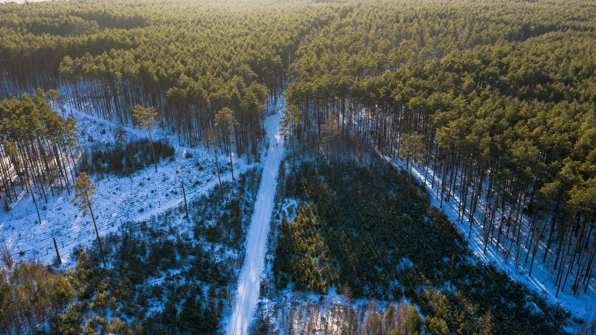 Aerial photograph — Poland — Earthly