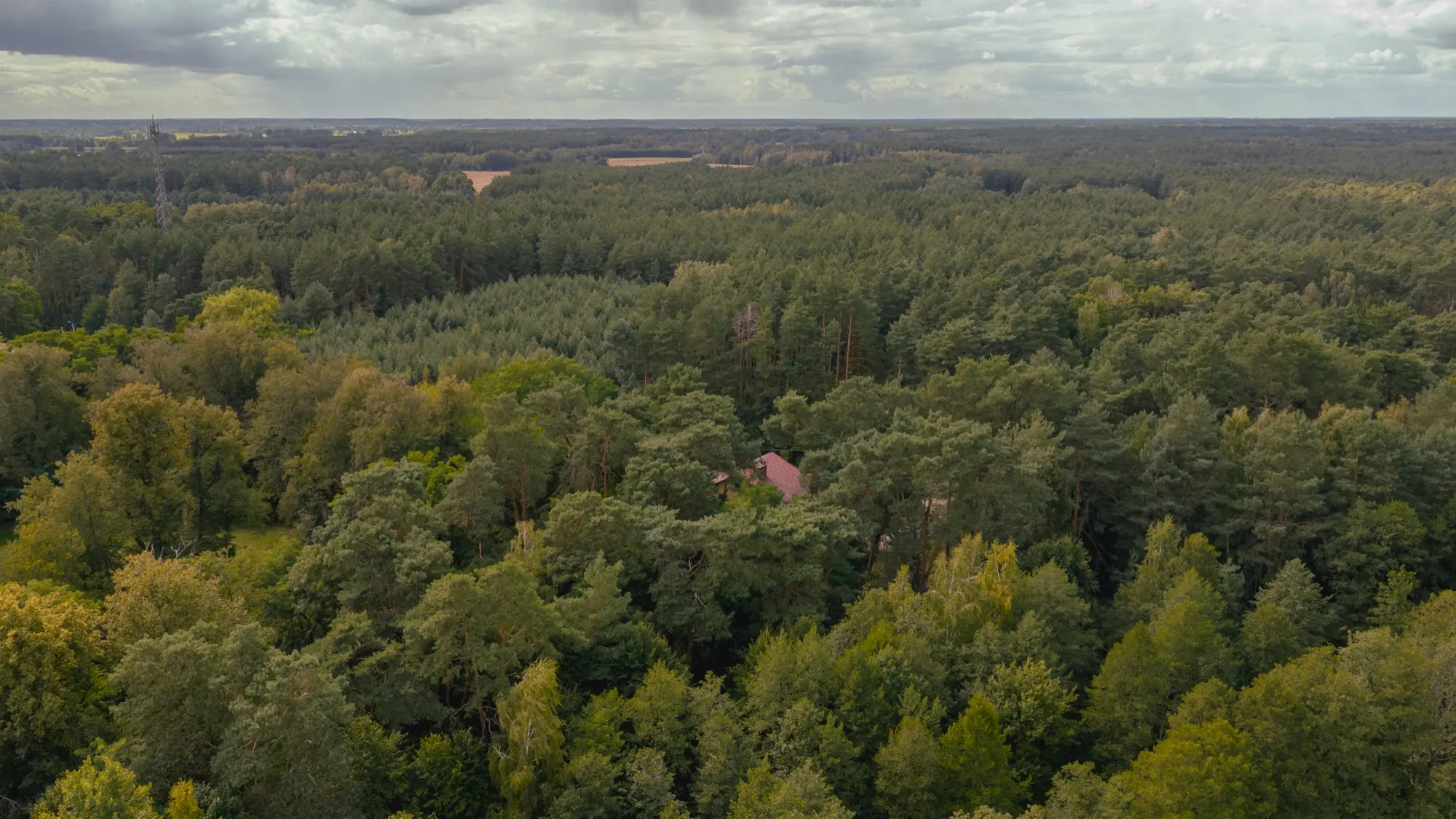 Aerial photograph — Poland — Earthly