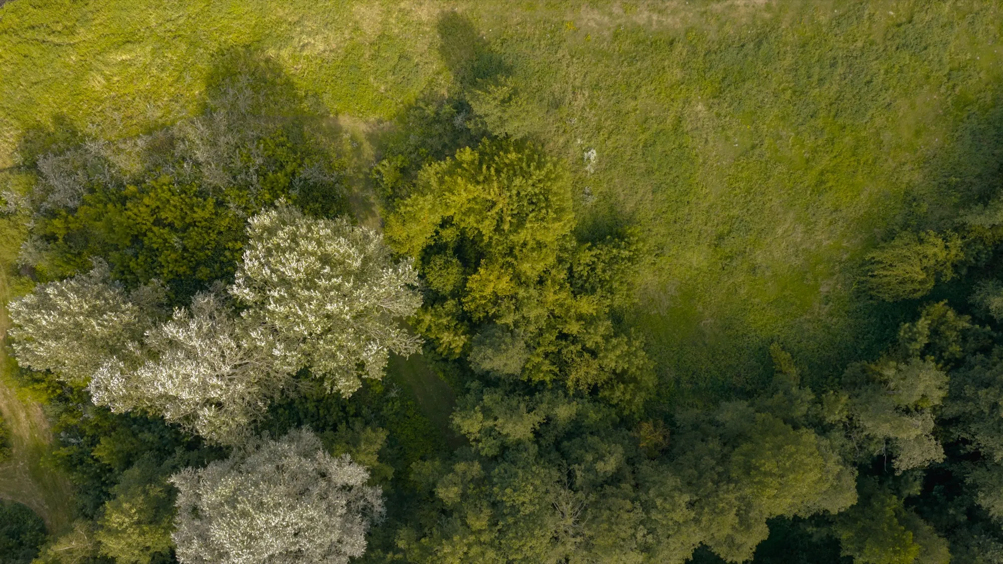 Aerial photograph — Poland — Earthly