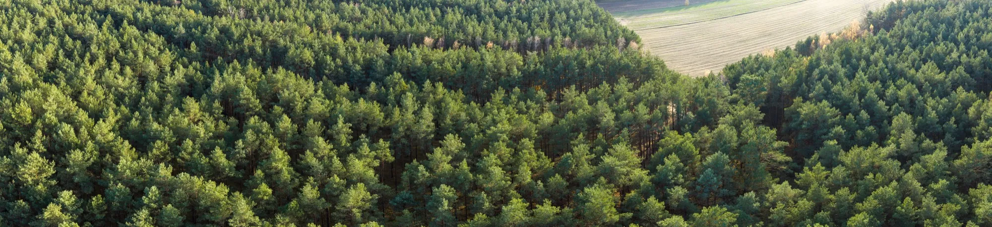 Aerial photograph — Poland — Earthly
