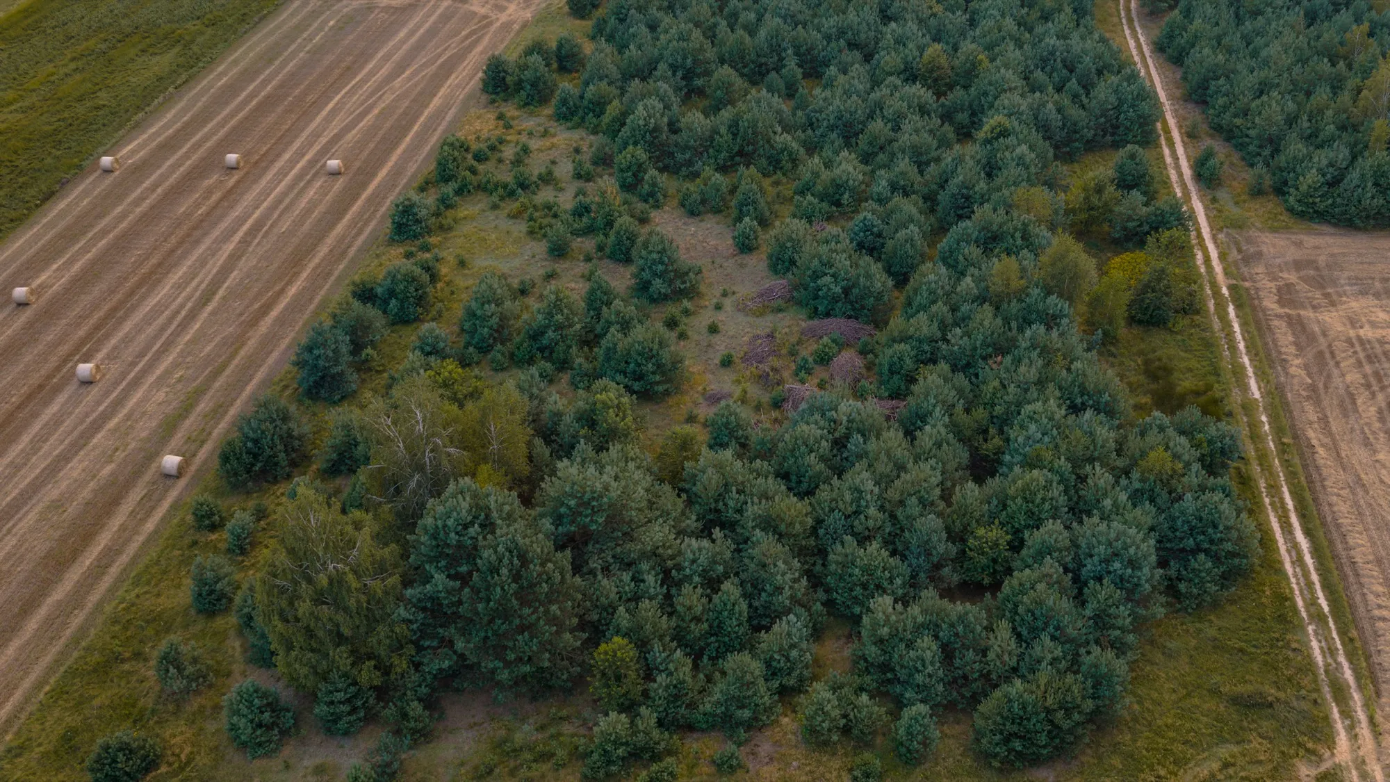 Aerial photograph — Poland — Earthly