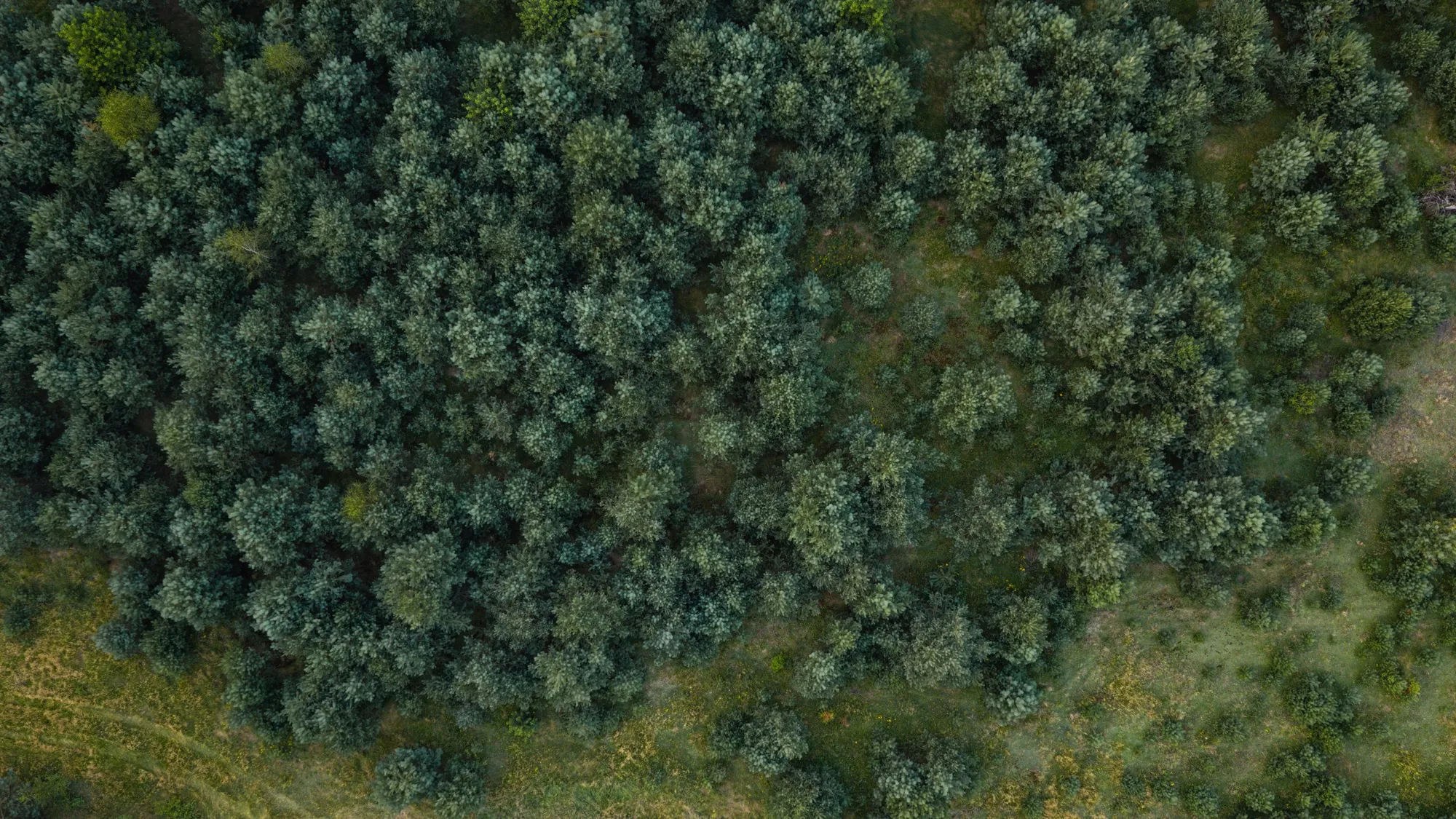 Aerial photograph — Poland — Earthly