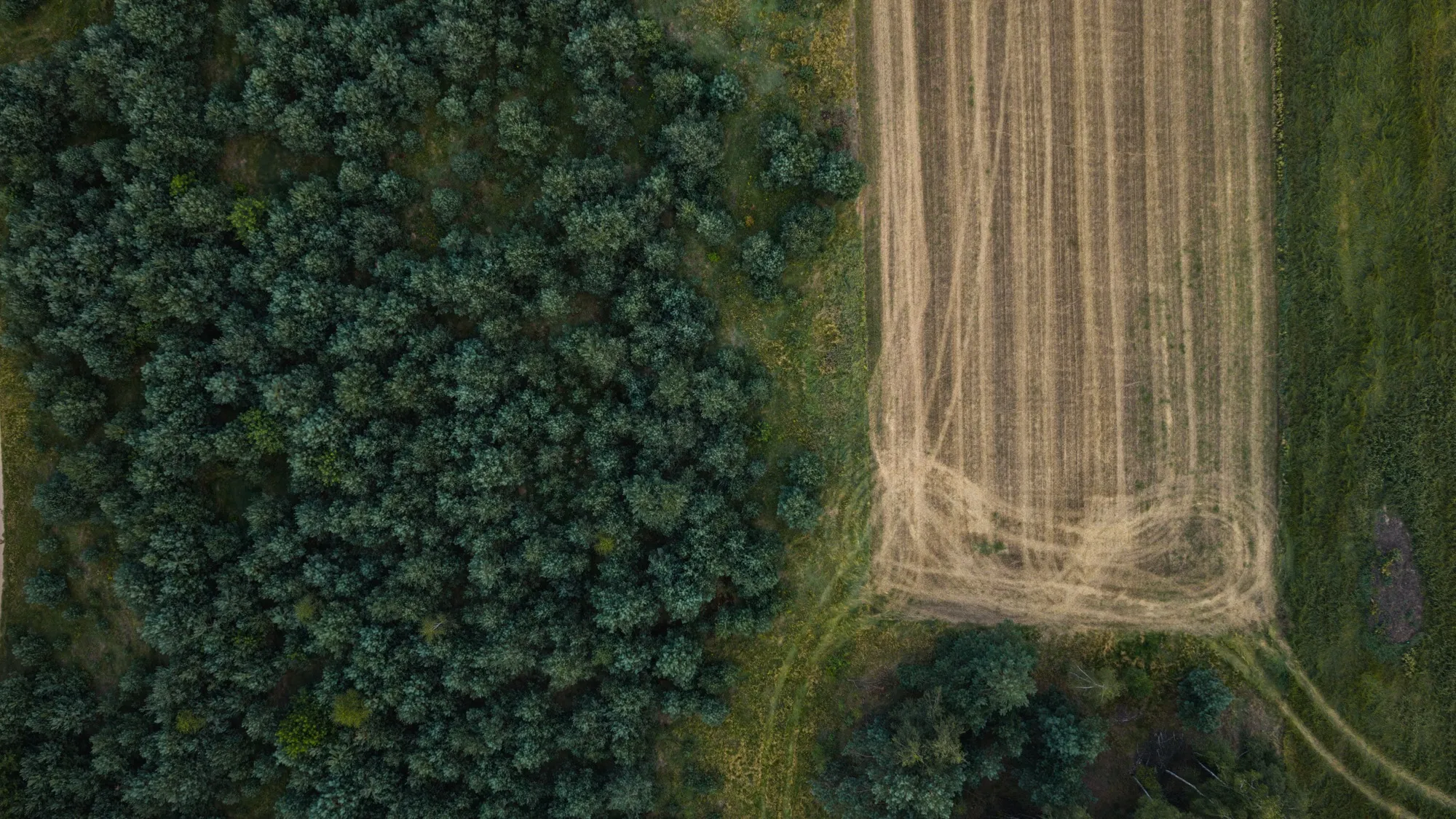Aerial photograph — Poland — Earthly