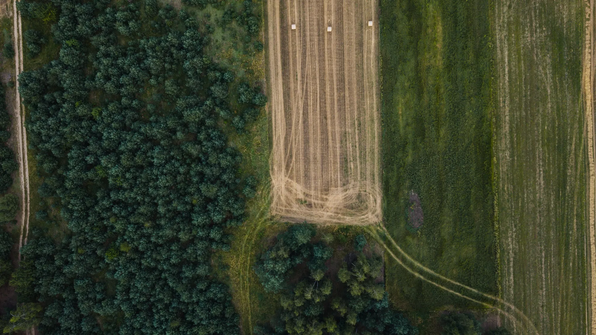 Aerial photograph — Poland — Earthly