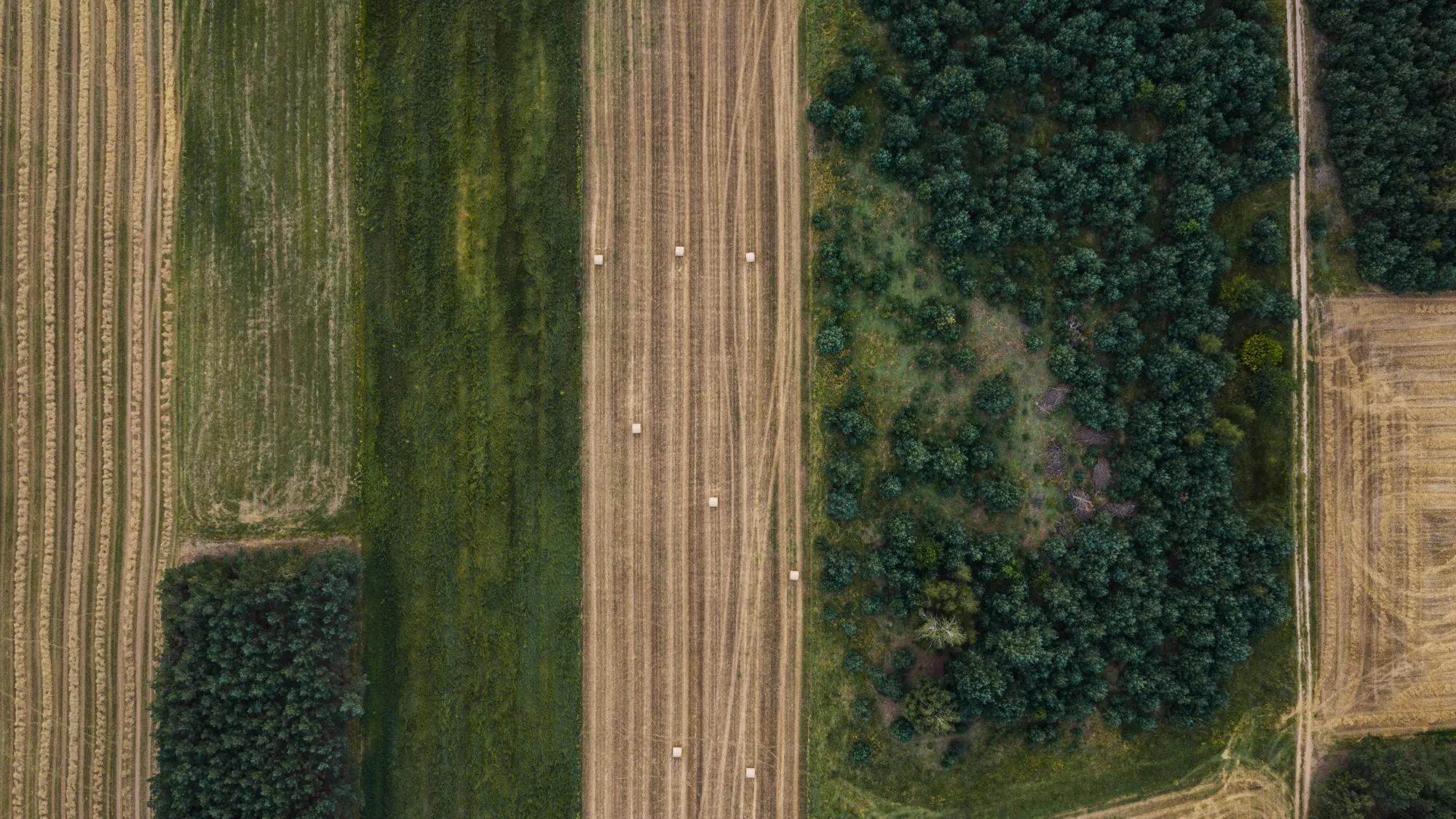 Aerial photograph — Poland — Earthly