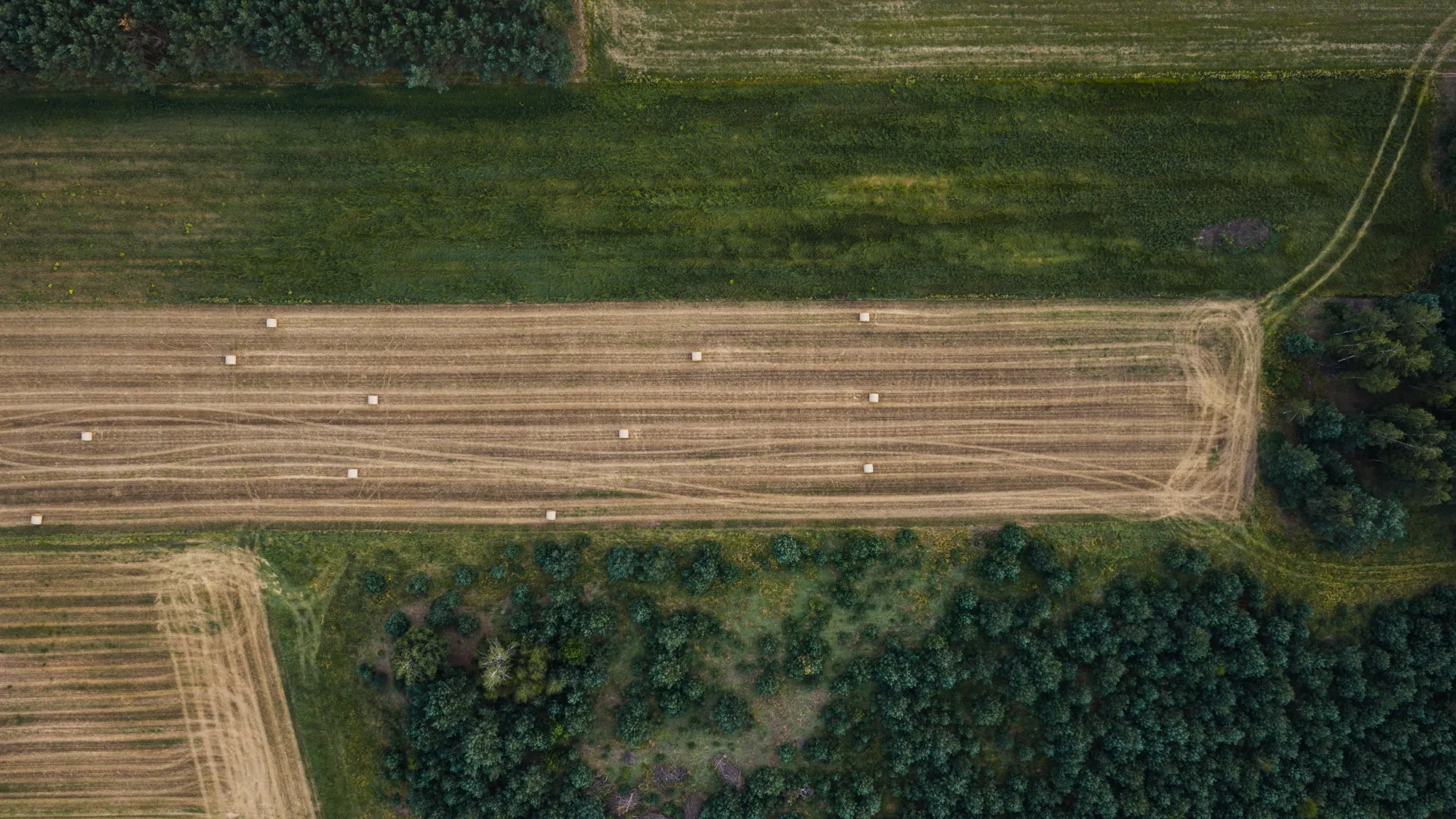 Aerial photograph — Poland — Earthly
