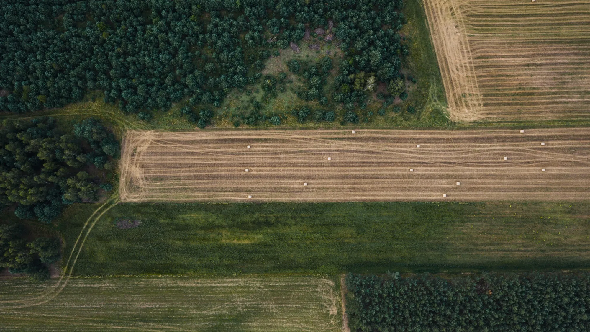 Aerial photograph — Poland — Earthly