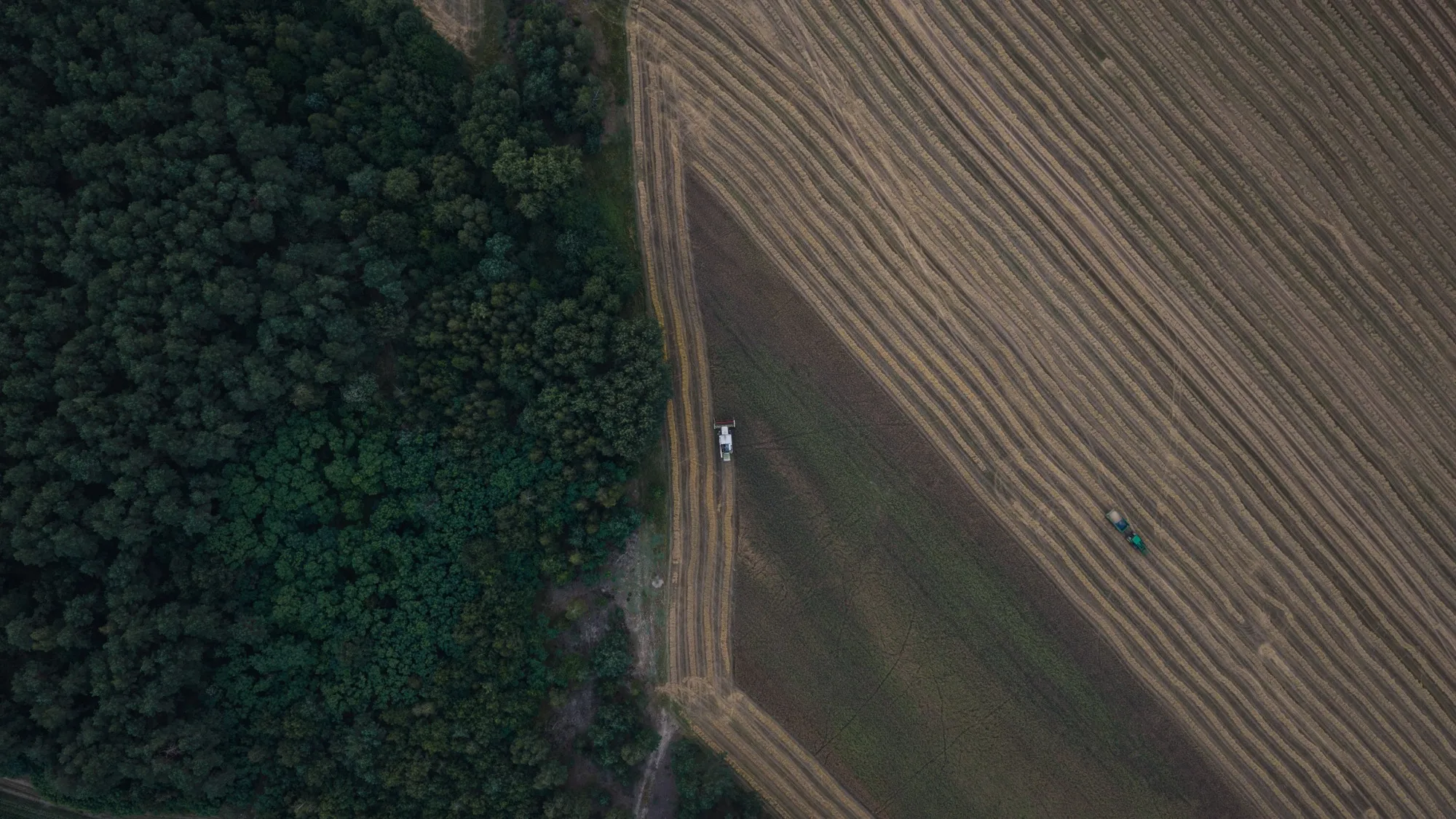 Aerial photograph — Poland — Earthly