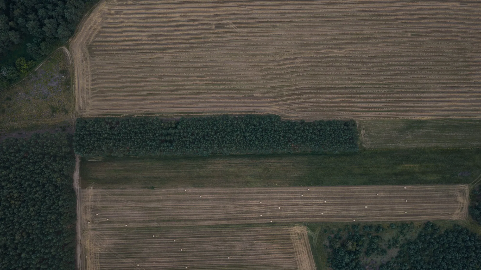 Aerial photograph — Poland — Earthly