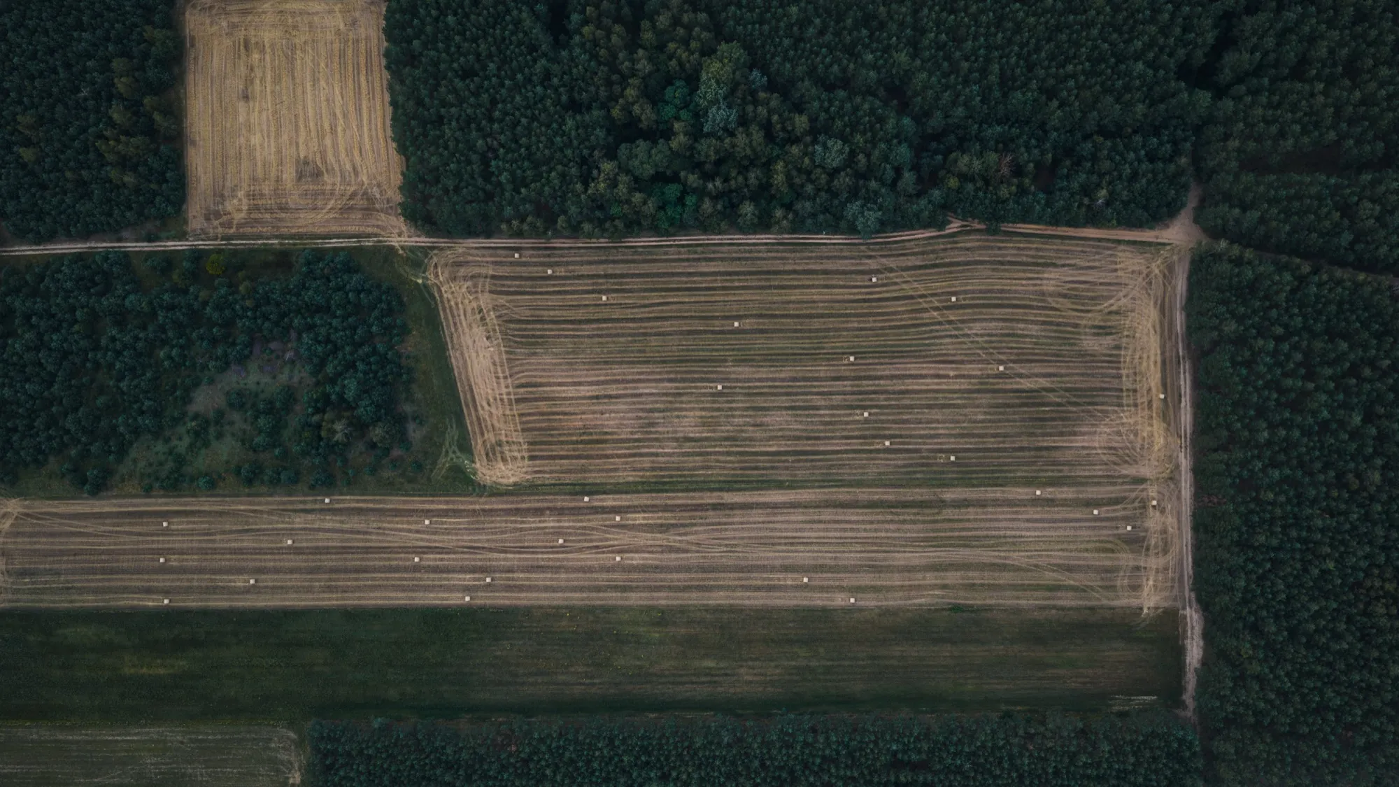 Aerial photograph — Poland — Earthly