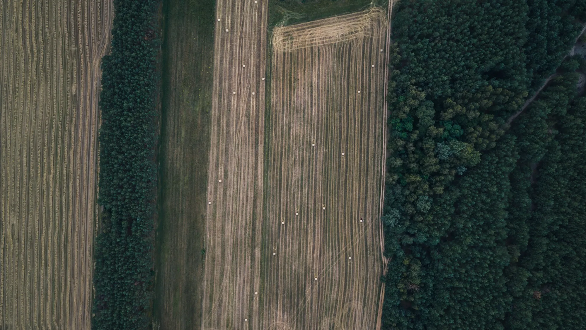 Aerial photograph — Poland — Earthly