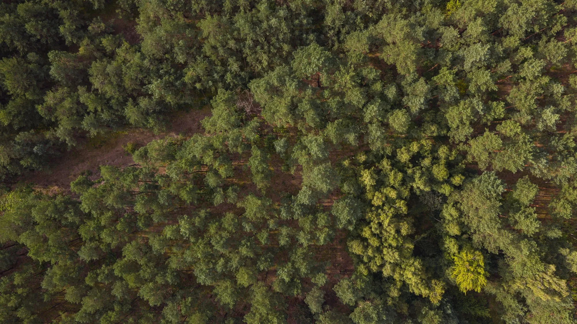 Aerial photograph — Poland — Earthly