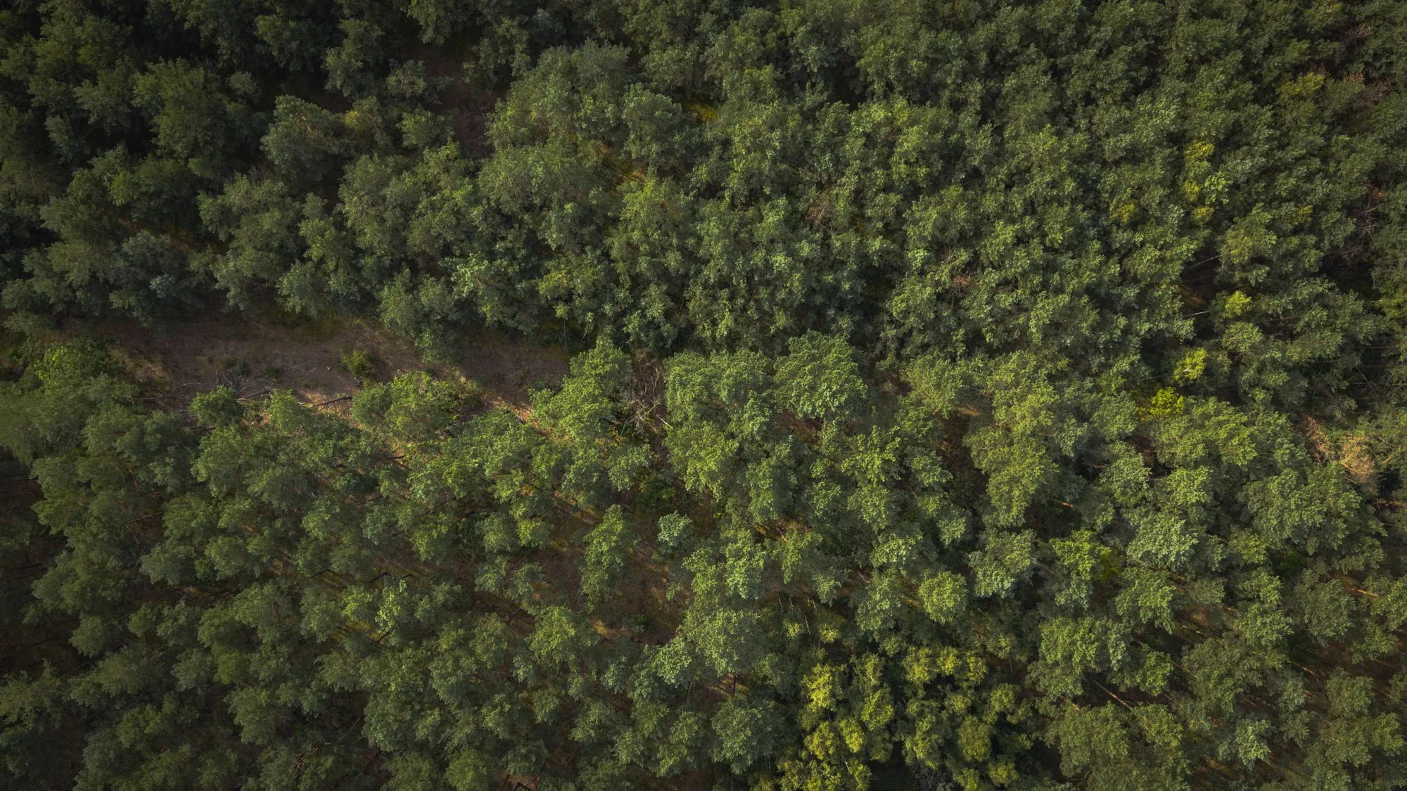 Aerial photograph — Poland — Earthly