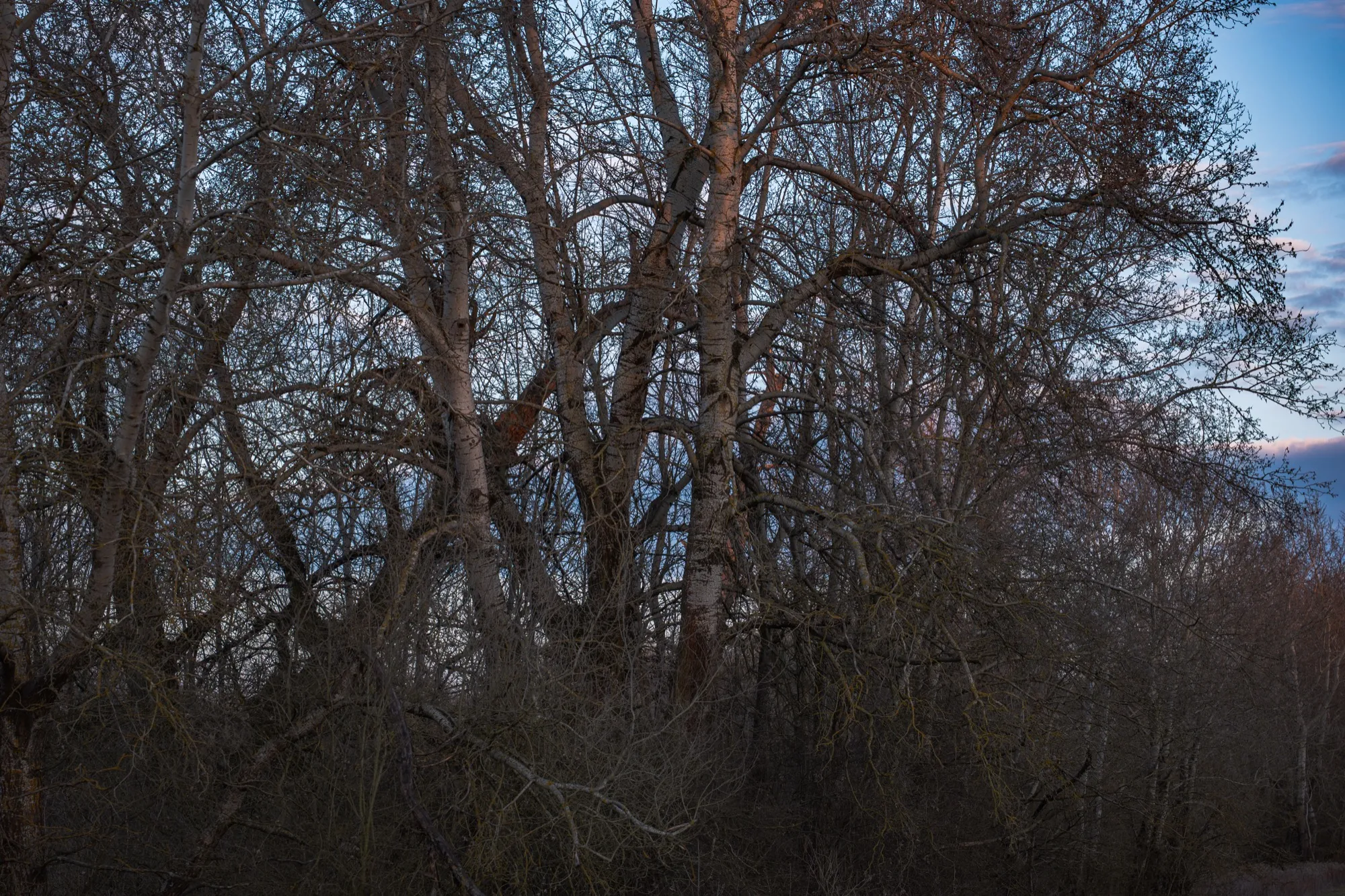 Aerial photograph — Poland — Earthly