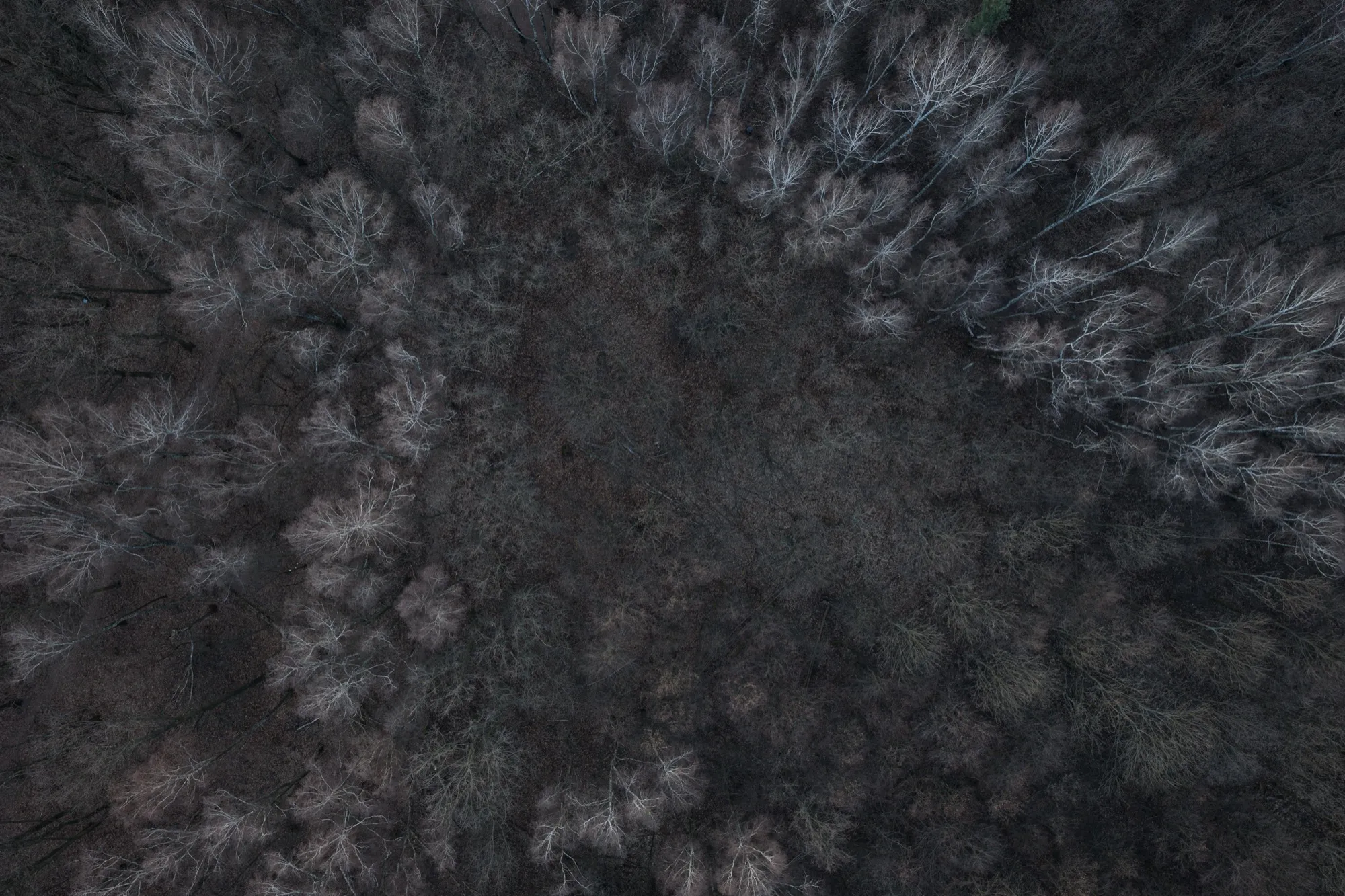 Aerial photograph — Poland — Earthly