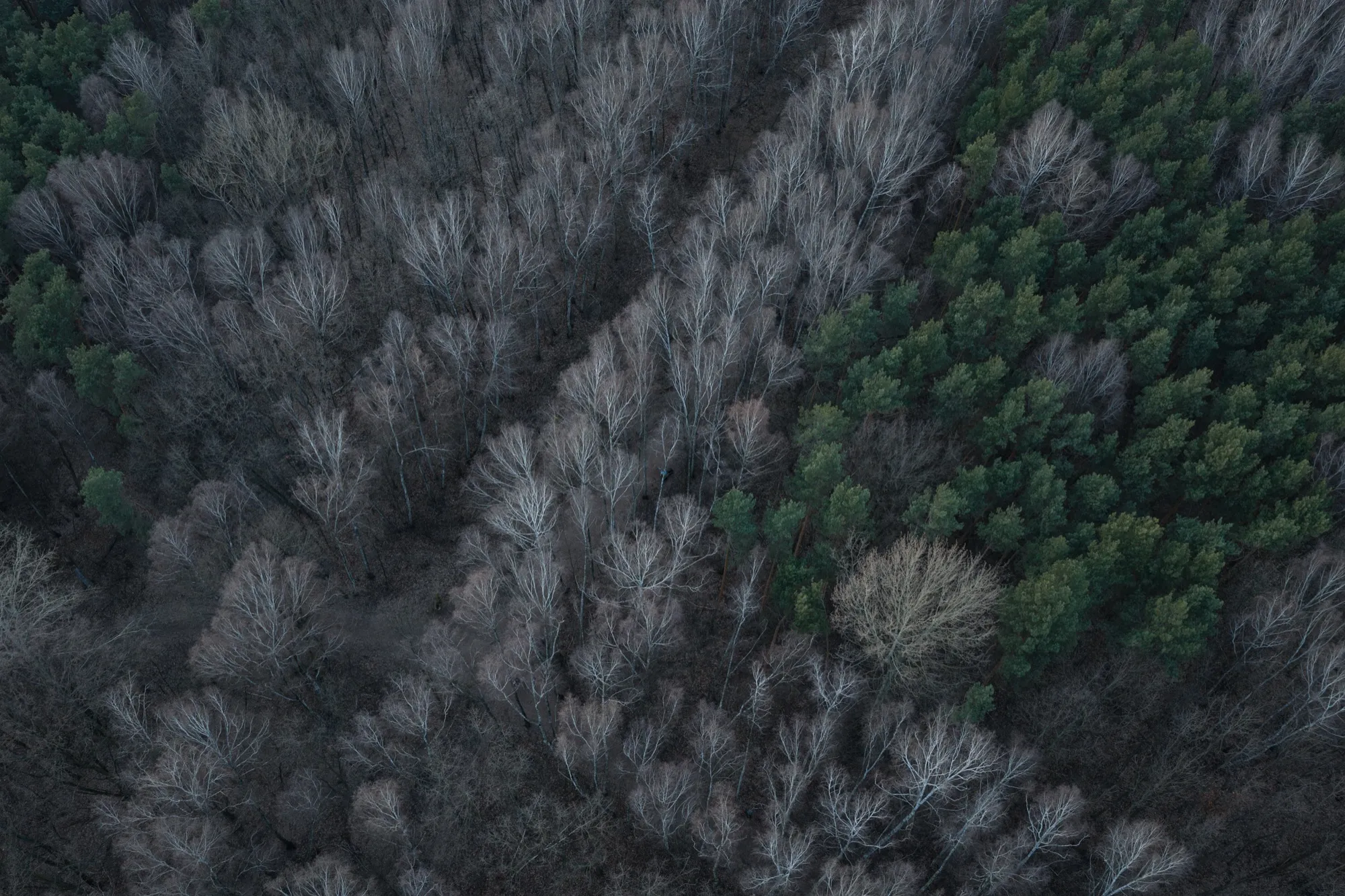 Aerial photograph — Poland — Earthly